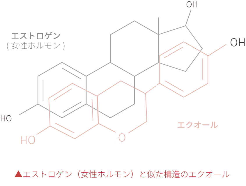 エストロゲンの構造式