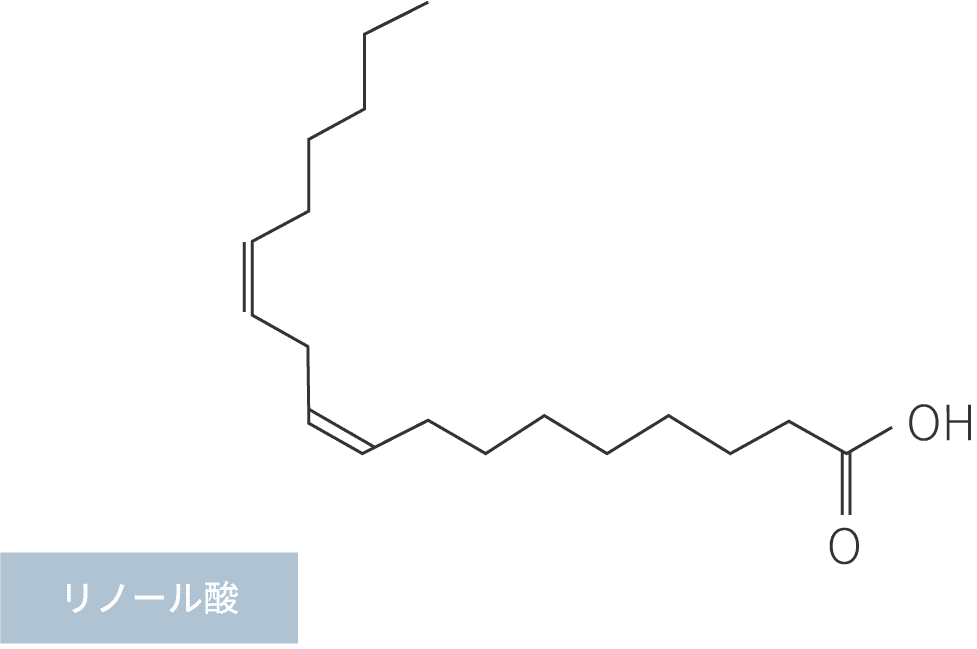 リノール酸構造式